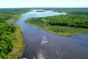 Fond du Lac Band of Lake Superior Chippewa Carbon Project